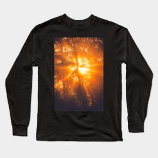 Sunbeams through tree in morning fog Long Sleeve T-Shirt